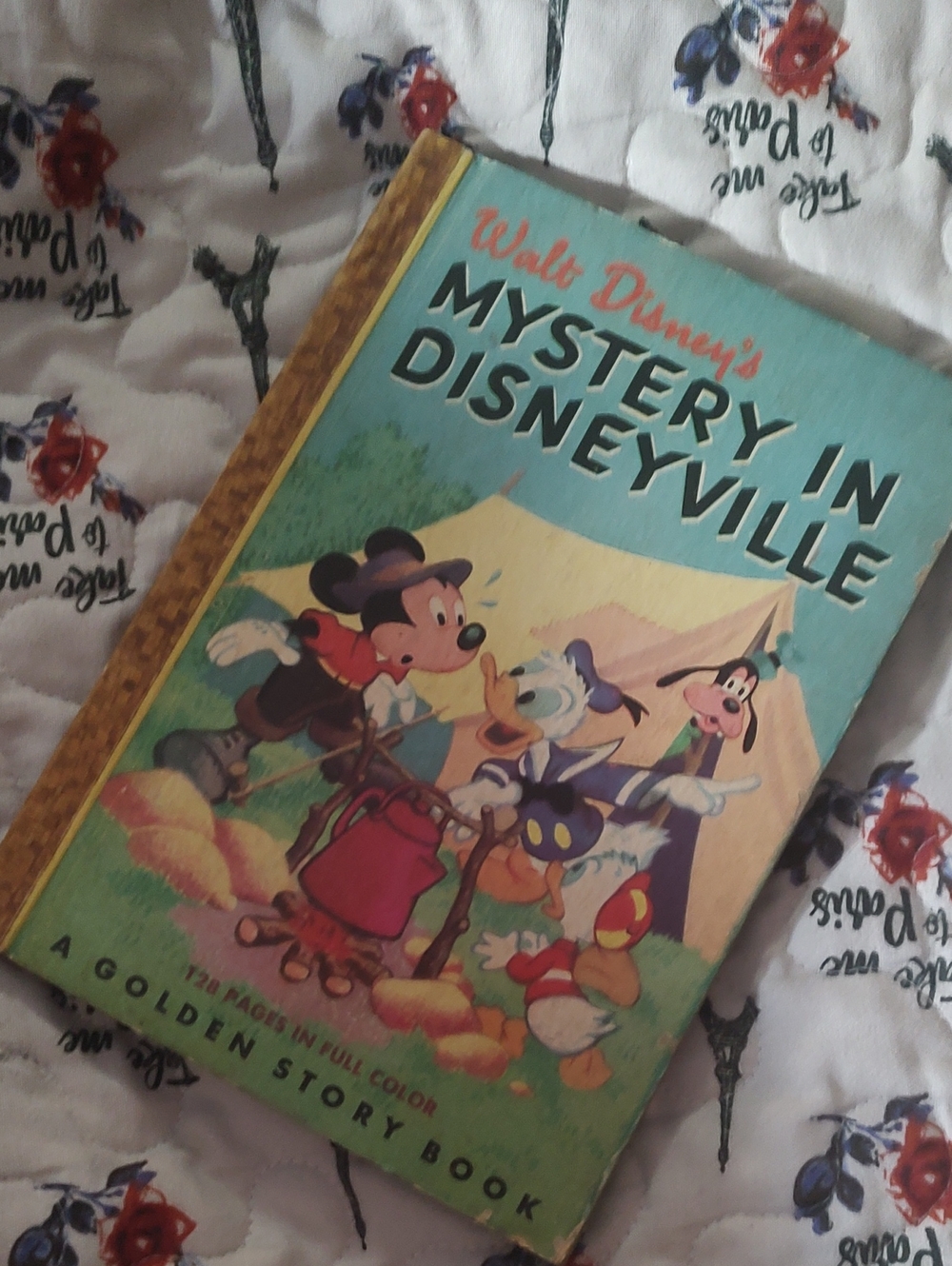 Mystery in Disneyville 📚 - What Disney
